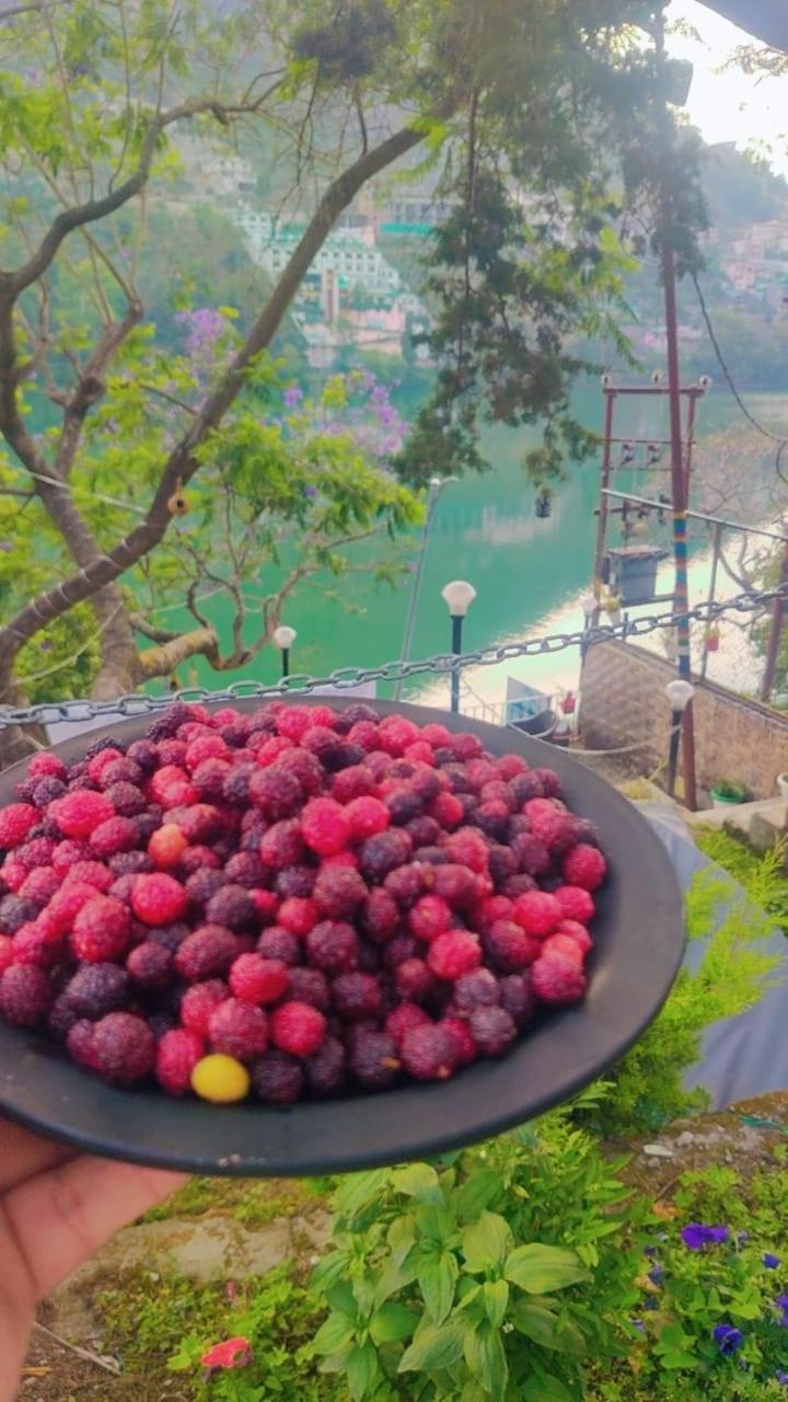 The Lake & Woods Bhimtal Luaran gambar